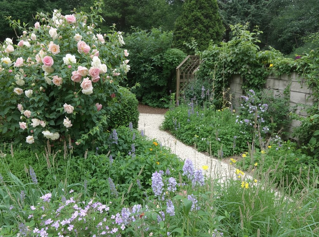 A simple cottage garden layout with a flowering shrub, climbing rose, repeated perennials, annual flowers and a soft gravel path