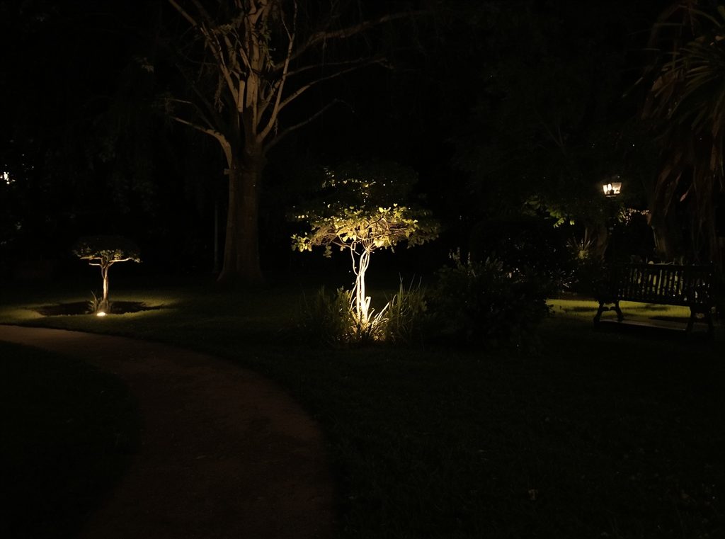 A garden at night with three softly lit focal points including a path, ornamental tree and distant bench, with darker areas between them