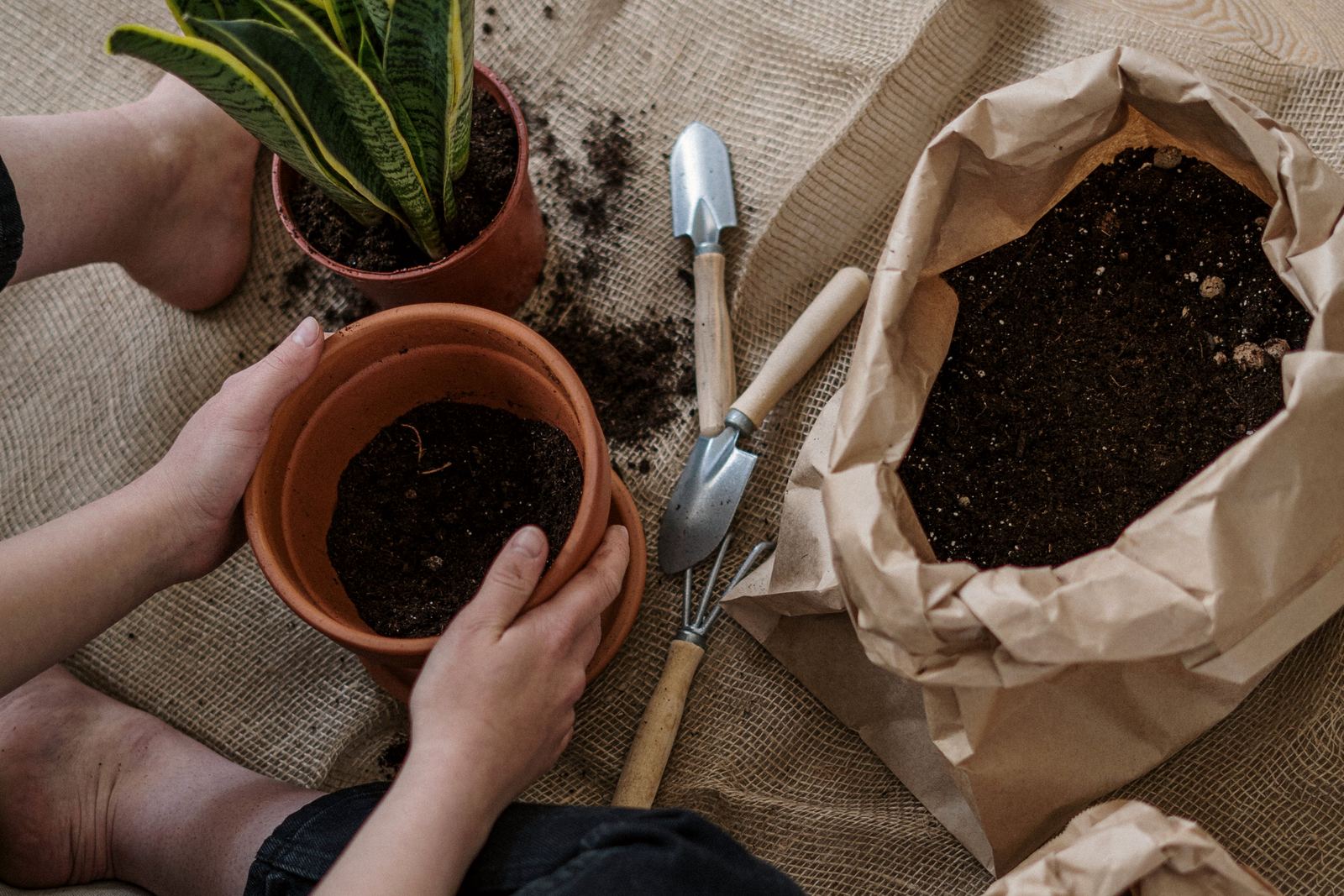 Hands potting a small plant with a trowel and hand fork laid out beside a bag of soil