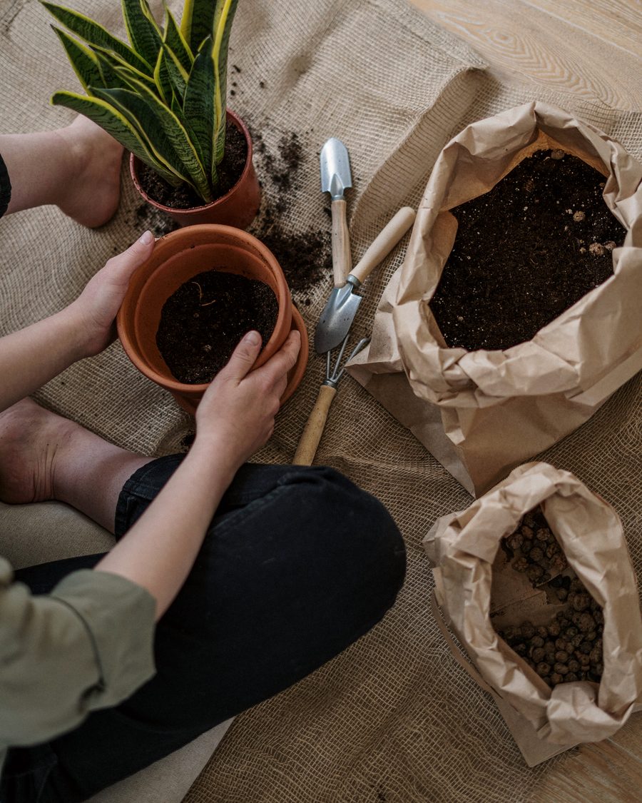 Hands filling a terracotta pot with soil beside a paper bag of compost and gardening tools